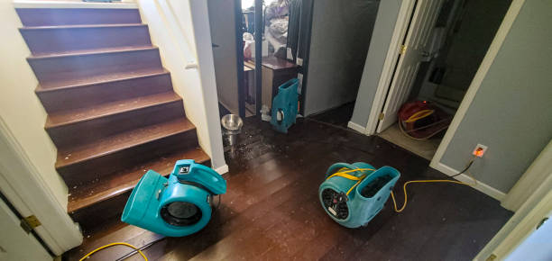 Best Water damage contractors near me  in Rathdrum, ID