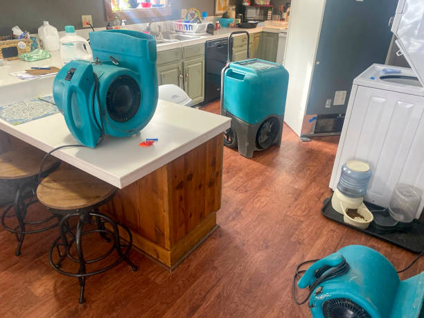 Best Fire Damage Restoration  in Rathdrum, ID