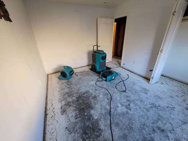 Best Ceiling water damage repair  in Rathdrum, ID