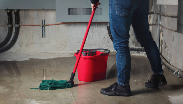 Best Flood damage cleanup  in Rathdrum, ID