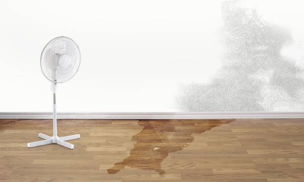 Best 24/7 water damage repair  in Rathdrum, ID