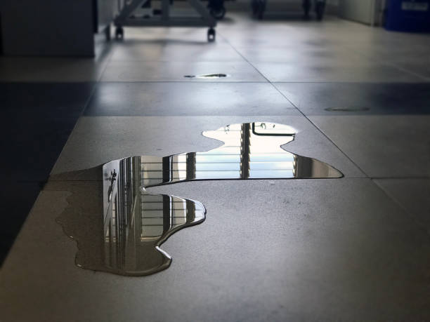 Best Water damage restoration near me  in Rathdrum, ID