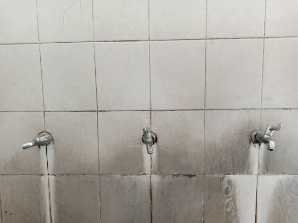Best Flood restoration services  in Rathdrum, ID