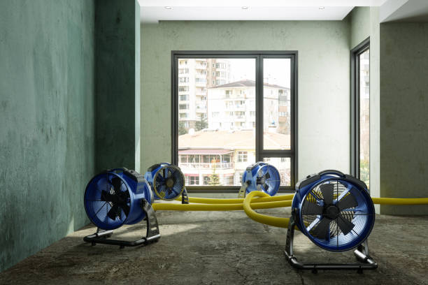 Best Sewage cleanup and water damage restoration  in Rathdrum, ID